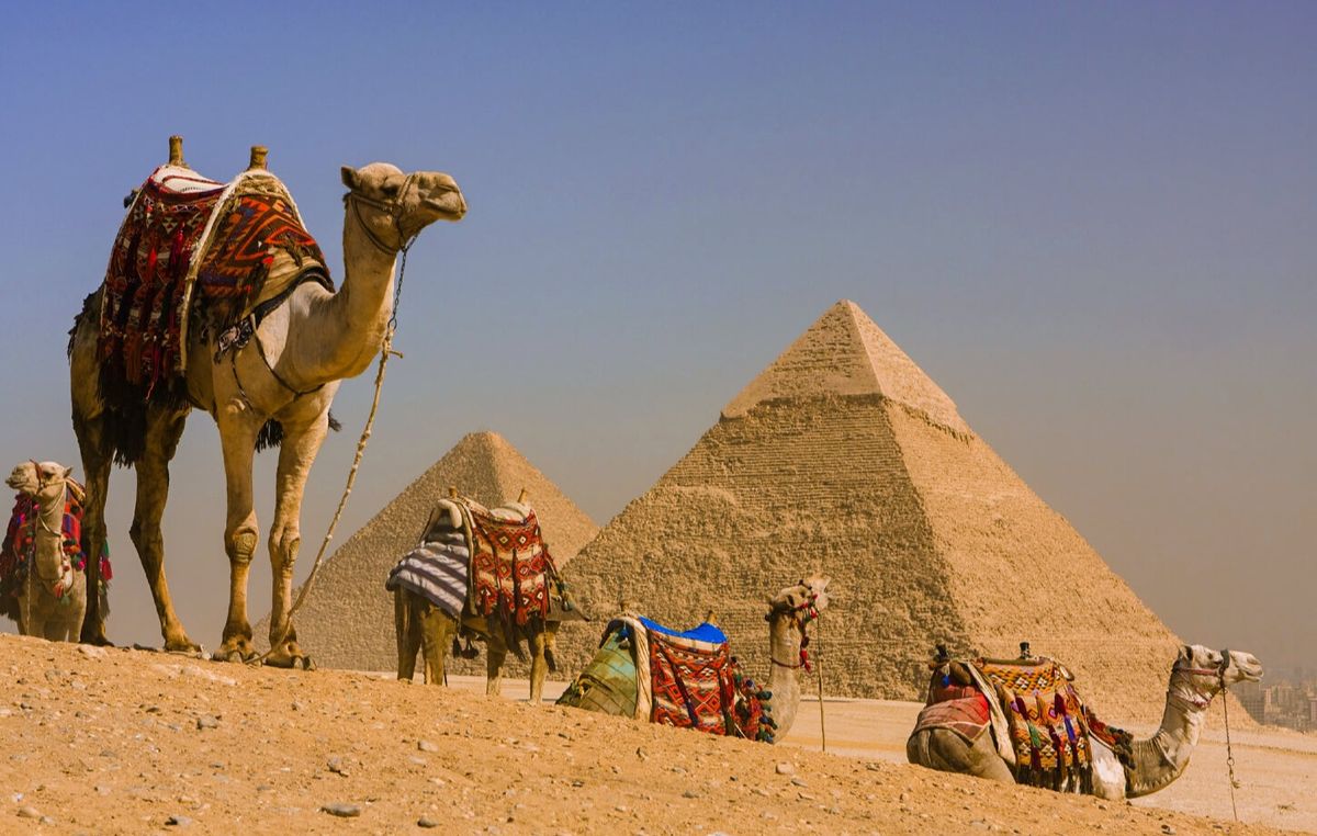 Camel Safari Guide